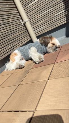 ゆずの独り言/かくしどりの記事動画