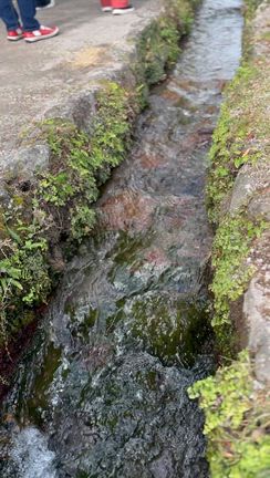 第39回PearlyRoseツアー 「佐賀・長崎2泊3日の旅」③の記事動画