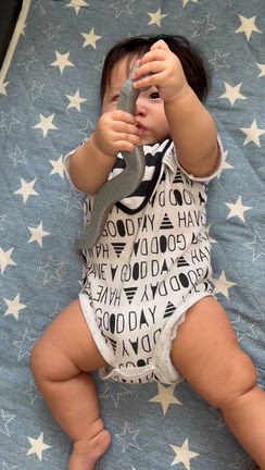 たまってた写真アップしますの記事動画