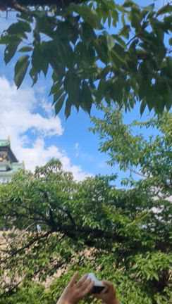 ブルーインパルスの記事動画