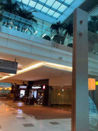 フランスの道からサンチャゴ巡礼路まさかの145年ぶりハリケーン3個→PARIS→バルセロナ旅の記事動画