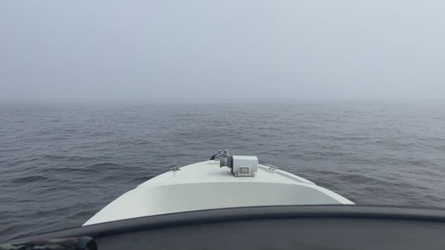 本業閑散期恒例のソロ平日調査操業、ルアーマゴチの記事動画