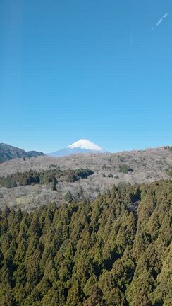 【山ちゃん】箱根デート❷の記事動画