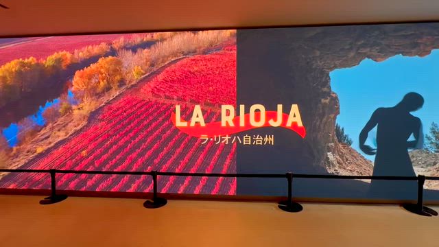 大阪万博 Osaka Expo 2025の記事動画