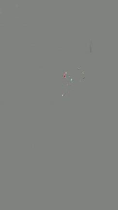 2024年のクリスマスコンサートはチビッコさんも参加❗️の記事動画