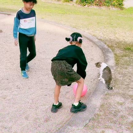 【中編】嬉しい｢快気祝｣の後は˙ᵕ˙ )ﾉﾞの記事動画