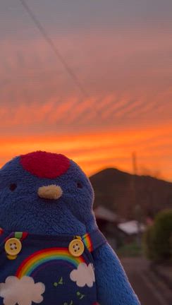 綺麗な夕焼けの記事動画