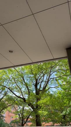 おはようございます^_^の記事動画