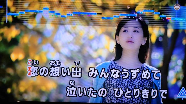 カラオケ〜砂に消えた涙〜♬〜の記事動画