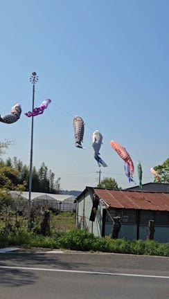 田植えがピーク！の記事動画