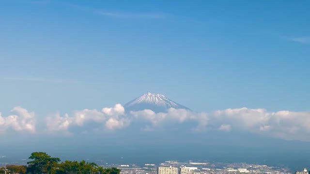 富士を横目に肺がん学会　生配信！の記事動画