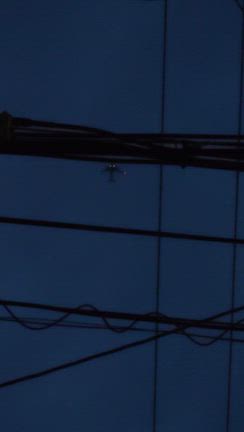 提灯献灯。の記事動画