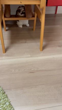 おはようございます☺︎の記事動画