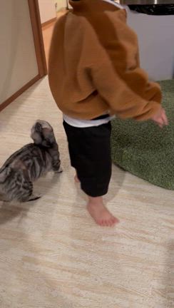 ねこまみれ 木製コースター ねこまみれシリーズ 「来福招福」: せとうち