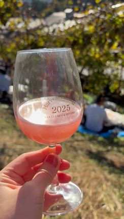 【2025ココファーム収穫祭へ！】青空の下で味わう“最高の生演奏” ✨の記事動画