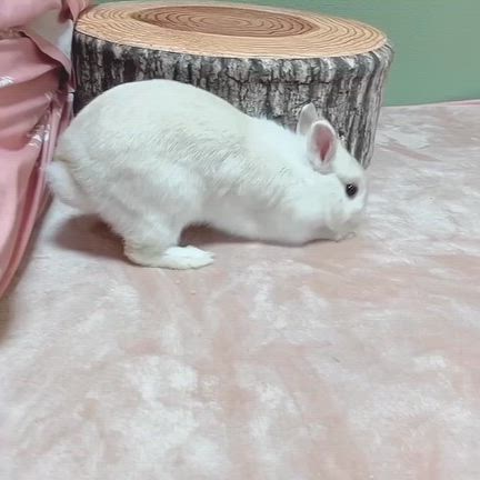 極寒の記事動画