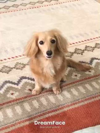 4/4(金）お気に入りのアプリは何ですか？の記事動画