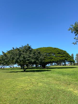 The BusでPohaku Lanai バランスロックへ！の記事動画