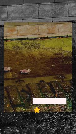 本日のオーディション2025/10/14の記事動画