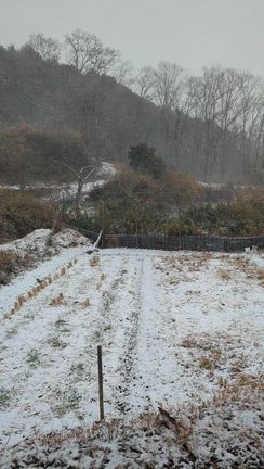 猛吹雪の赤目自然農塾に50人以上の塾生参加者の記事動画