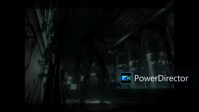 最終回 【そこを歩くという恐怖】 16 (biohazard攻略日記編)の記事動画