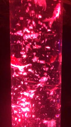 夏のアートアクアリウムの記事動画