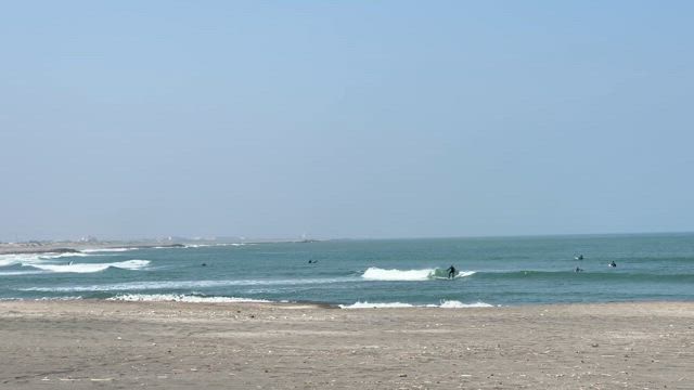 今年は水温高いぞ！の記事動画