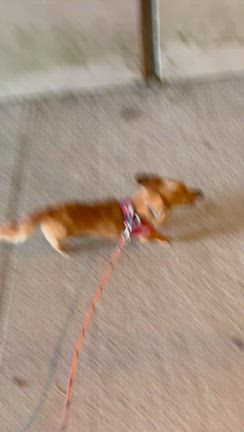 時間の使い方や考え方は自分次第️の記事動画