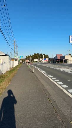 腰がの記事動画