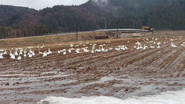 雪の山形新庄市から庄内町への記事動画