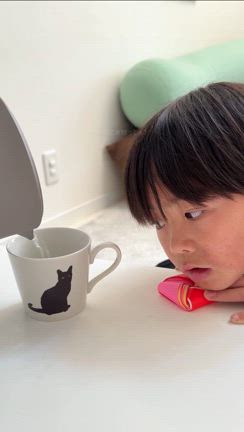 え、なにこれの記事動画