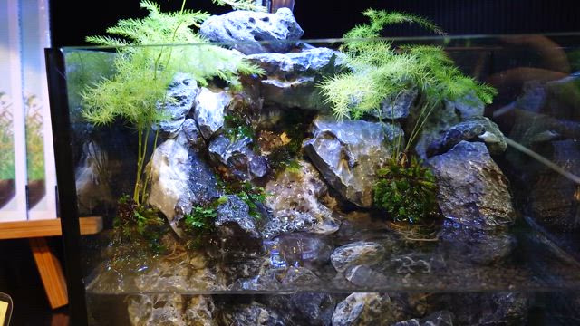 年末年始フェアありがとうございました！の記事動画