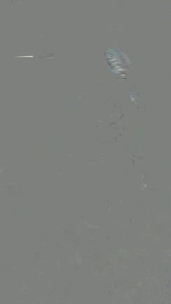 1分で完売ラッシュ！しまむら田中里奈ちゃんコラボ開店アタックの記事動画