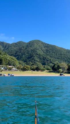 釣果報告の記事動画