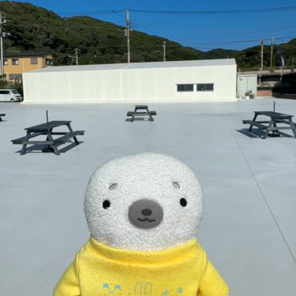 Golden Shrimpの記事動画