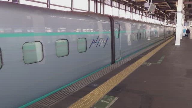 メタボ怪獣ヒロゴン函館へ行く　～にわか撮り鉄～の記事動画