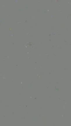 インドオオコウモリの迫力が凄かった！の記事動画