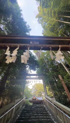 気持ちの良い季節になりましたね♪の記事動画