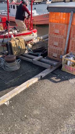 新たに‼️\(//∇//)\の記事動画