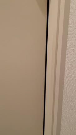 トイレで覗き魔に遭遇の記事動画