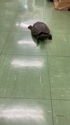 寒すぎる！！の記事動画