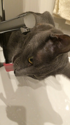 うわっ‥  　　バ撮ルン  歩いてる人・冷　＊動画ありの記事動画