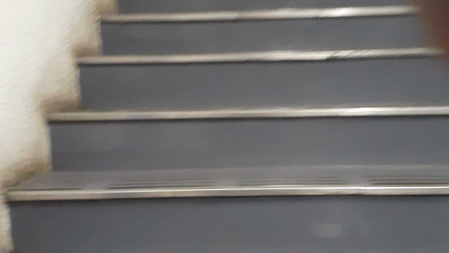 今年初の神宮球場での野球観戦！の記事動画