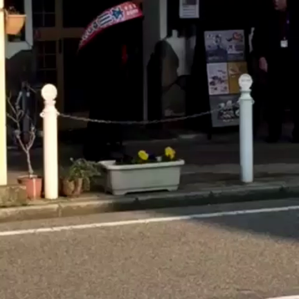 2017/04/01の記事動画