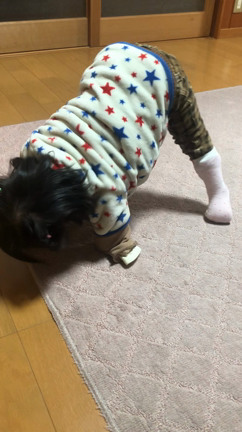 タッチの記事動画