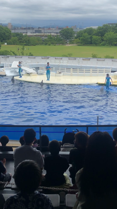 34週目健診  2人で最後の遠出の記事動画