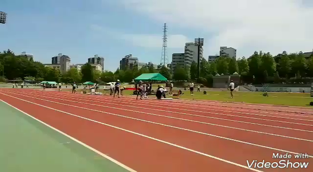 動画(スロー)の記事動画