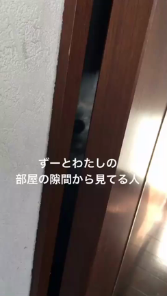 癒しの記事動画