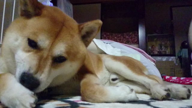 スルーされる。の記事動画