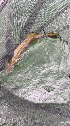 動画頂きました!!真野ダムの記事動画